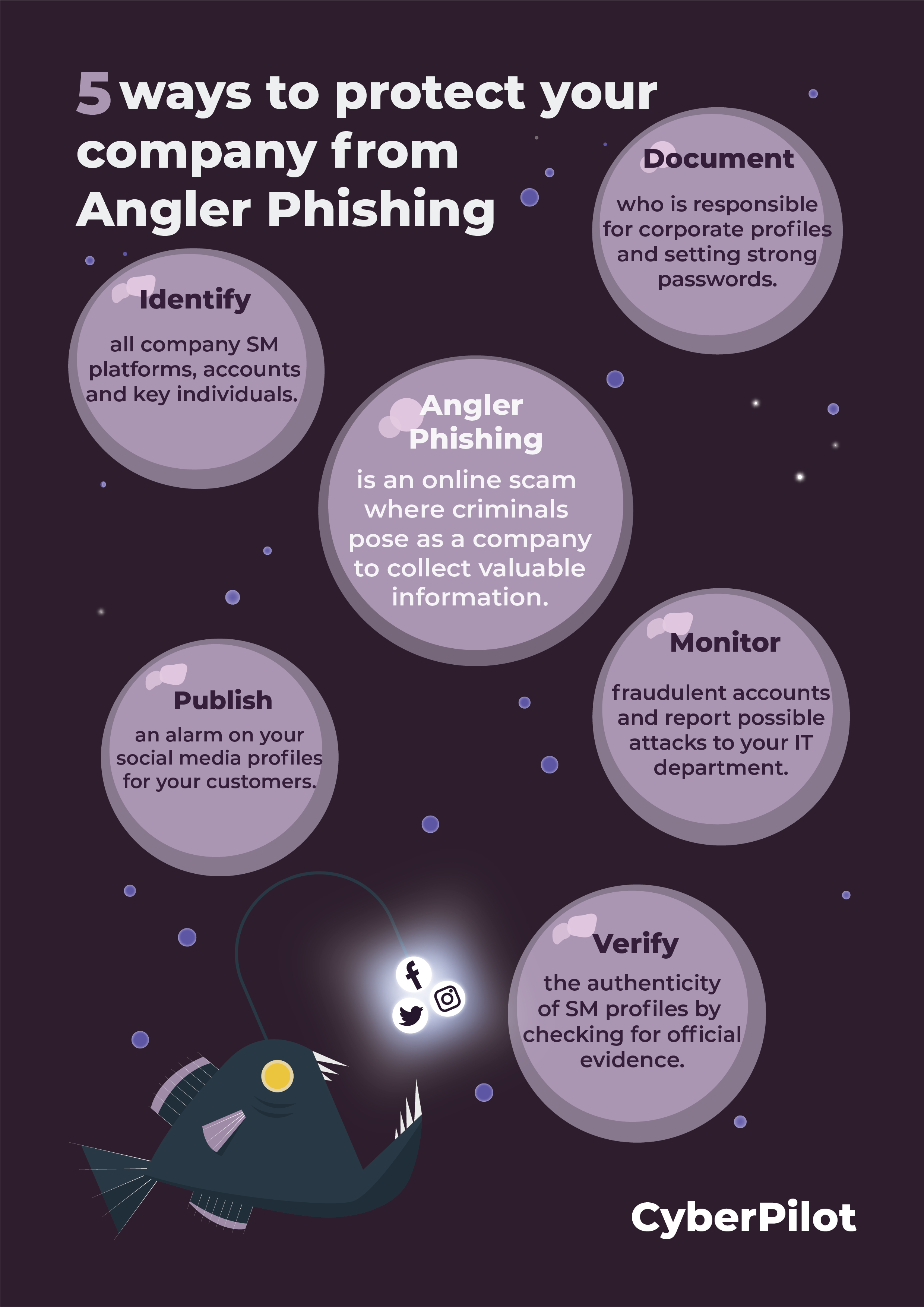 Angler Phishing: Be Conscious of Social Media Phishing