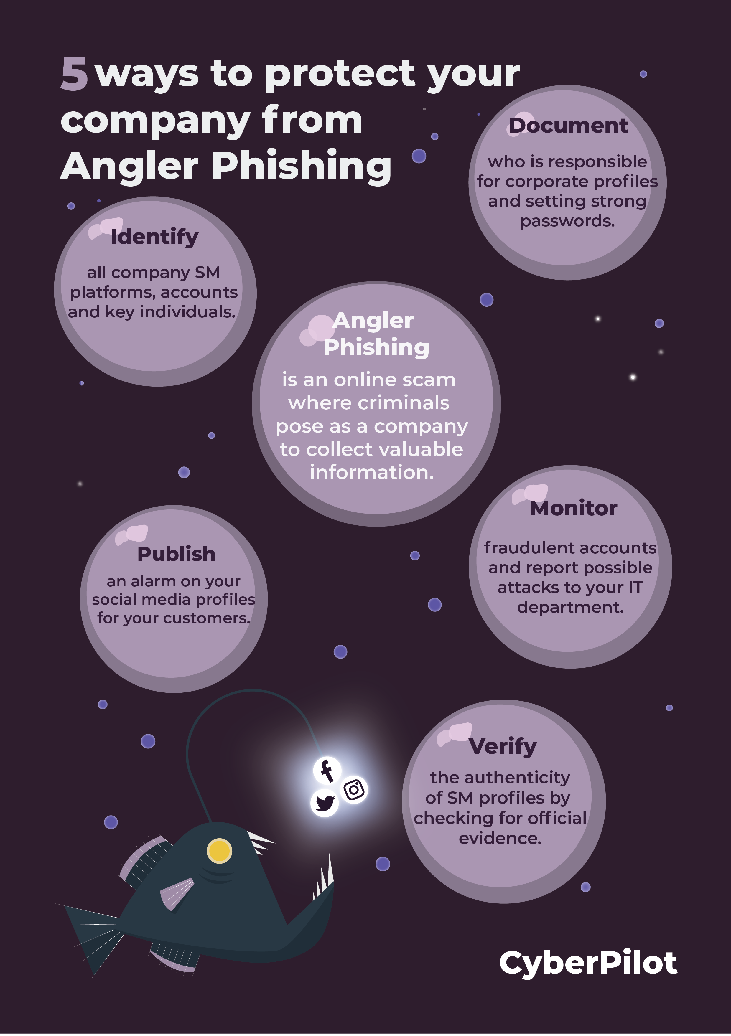 An infographic showing 5 ways to protect your company against Angler phishing
