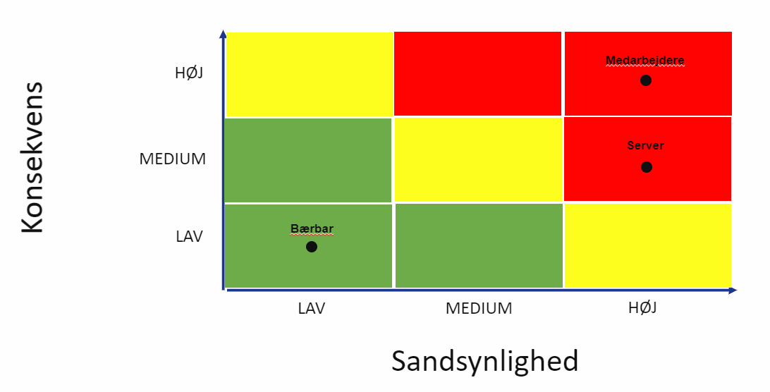 Udfyldt riskomatrix